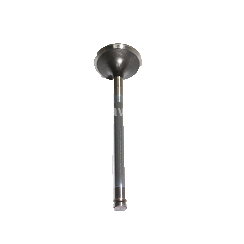 Exhaust Valve, Cam Shaft, Engine