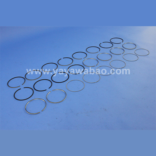 Piston Ring KIT, Crank Shaft, Engine